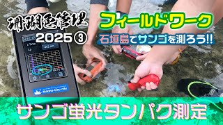 高校の野外活動として石垣島のビーチでサンゴの蛍光タンパクを測定しました！