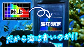 サンゴに必要な光強度と波長を調べるため海中のPARとスペクトルを測ってみた！