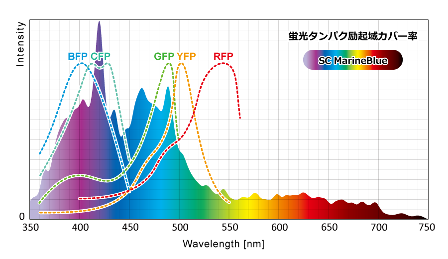スーパークール・マリンブルーのスペクトルと各蛍光タンパクの励起特性