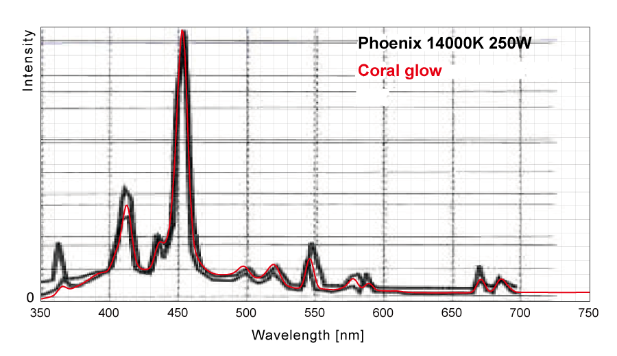  フェニックス14000Kとコーラルグローのスペクトル比較