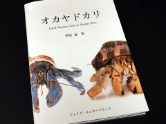 オカヤドカリ Land Hermit Crab in Pacific Rim のレビュー