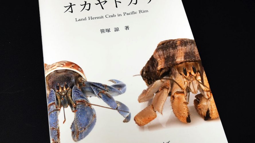 オカヤドカリ Land Hermit Crab in Pacific Rim のレビュー