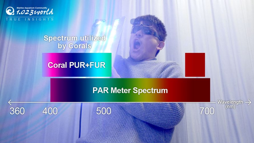 サンゴに必要なPURとFUR