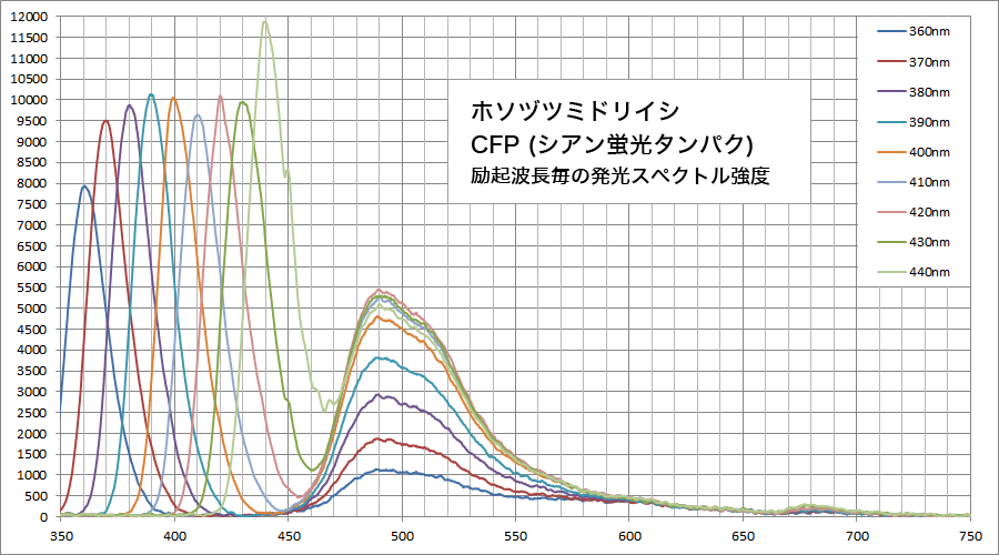 波長可変光源を用いたサンゴの蛍光タンパクの発光スペクトルの実測スペクトル