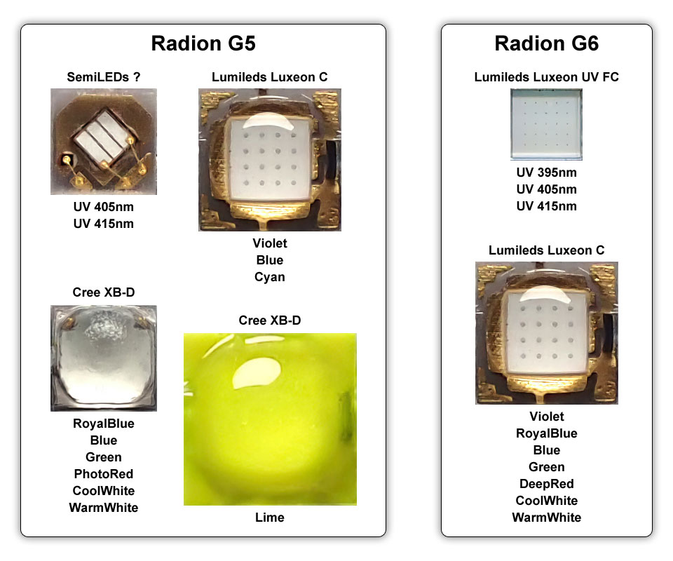 G5とG6の採用LED素子