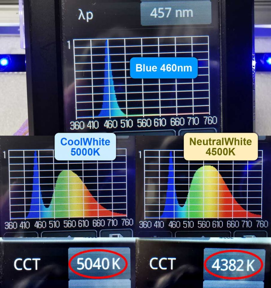 青は460nm、白はクールホワイト5000Kとニュートラルホワイト4500Kのミックスでした
