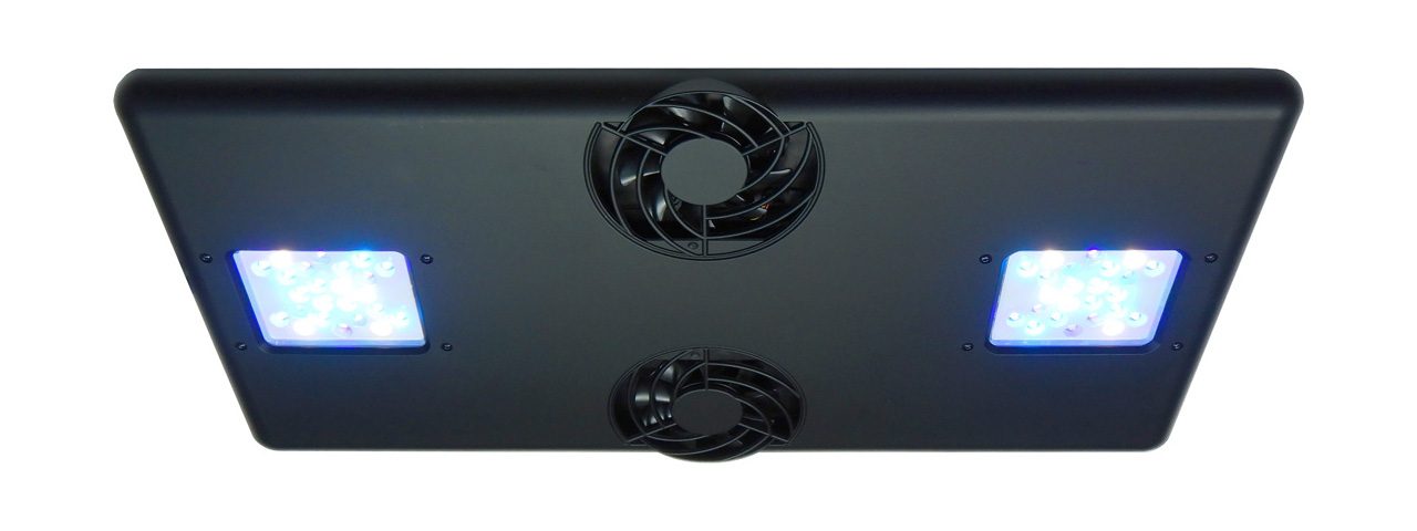 ボルクスジャパン Grassy Core X200 Reef