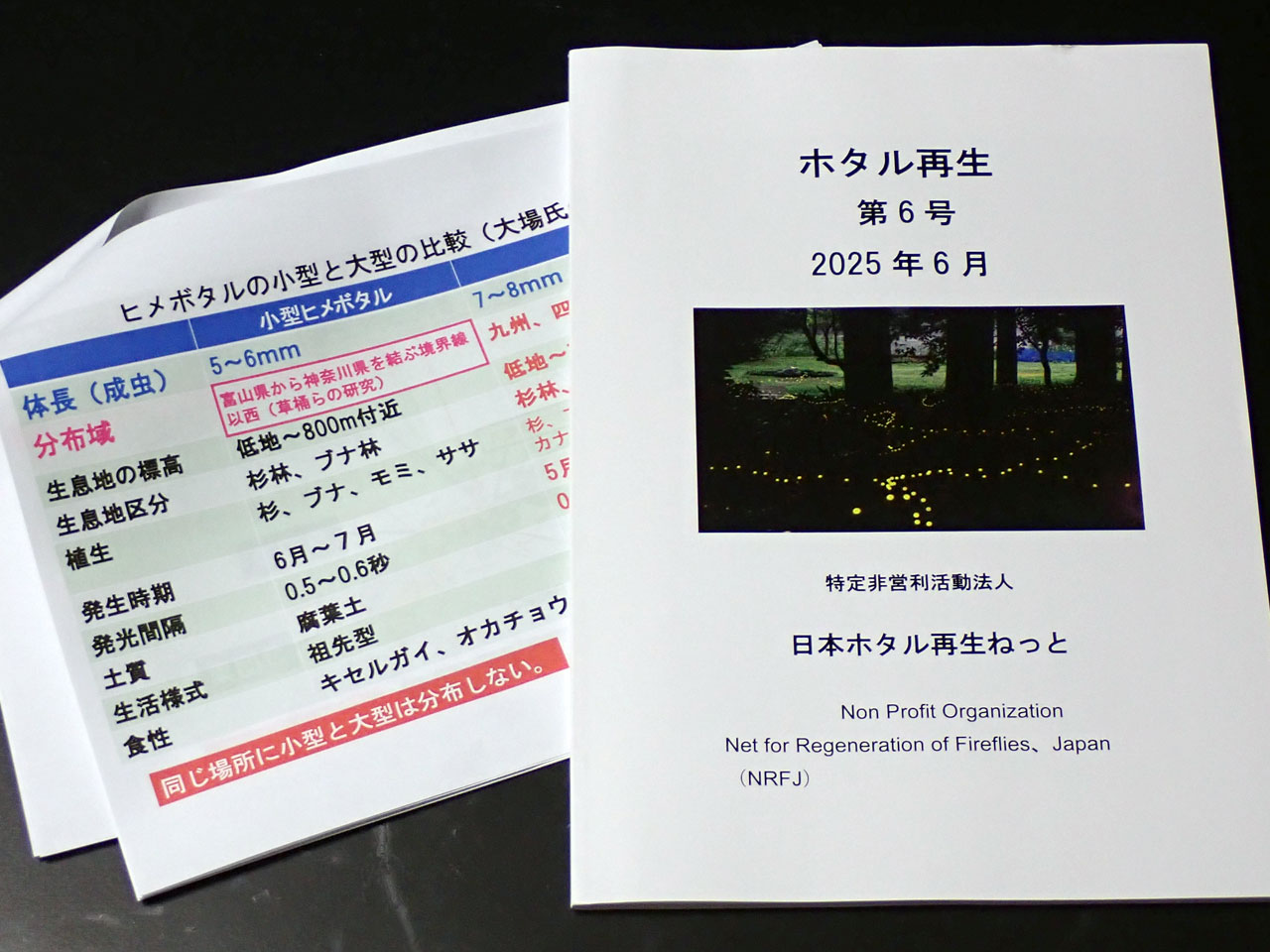 代表の草桶さんの解説付きで有意義な時間を過ごせました