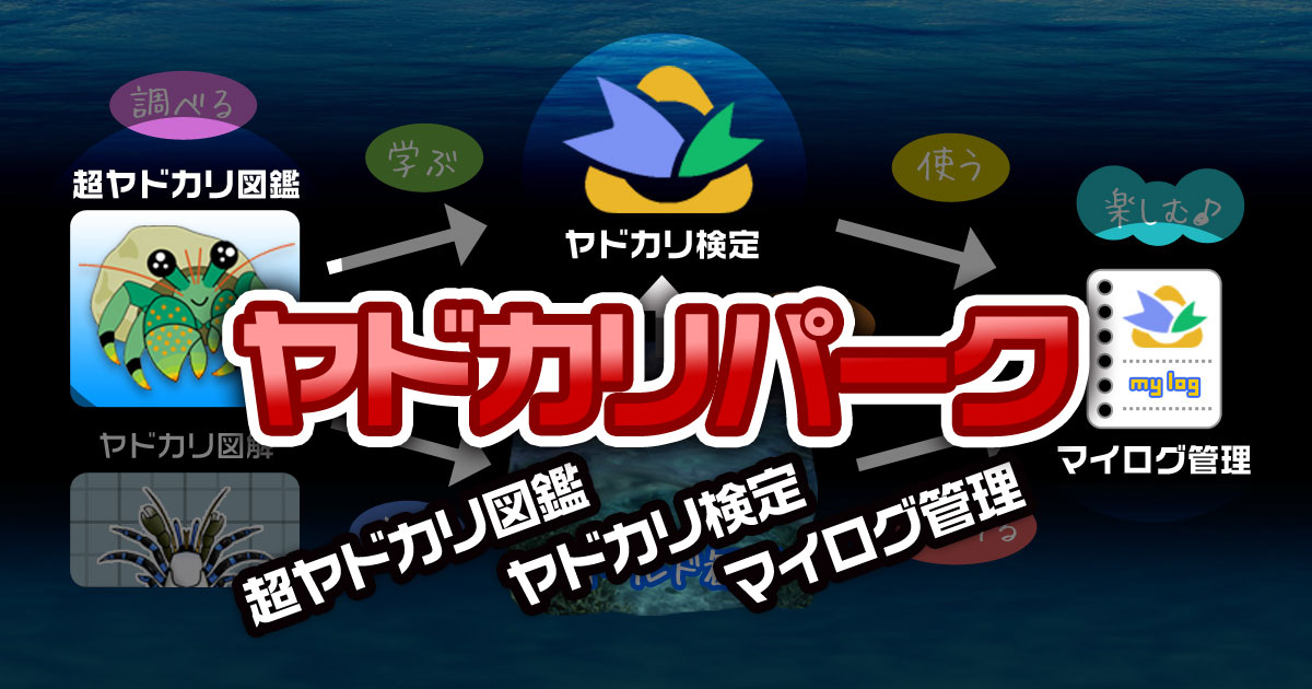 やどかり情報満載 ヤドカリパーク 1 023world